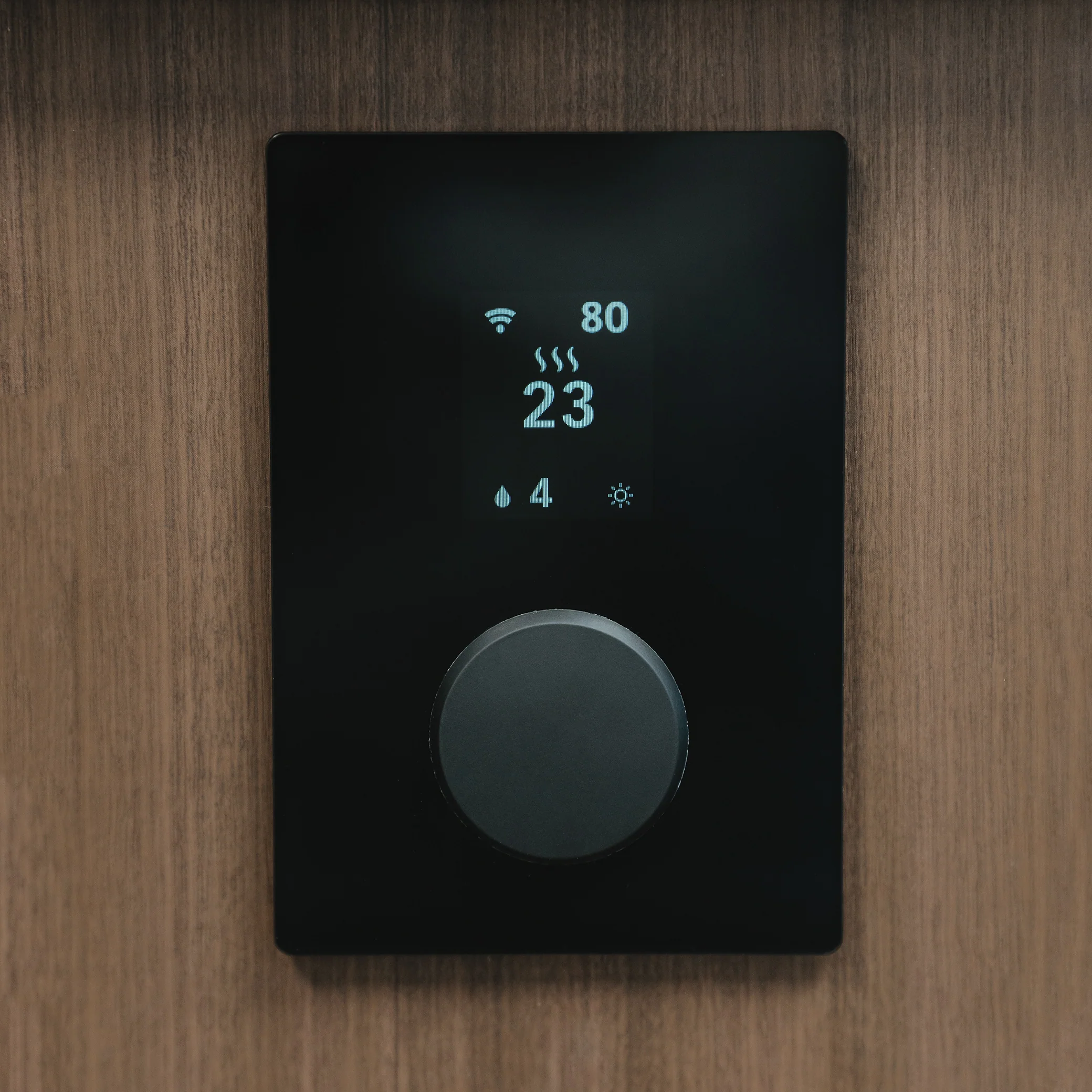 Sauna control unit